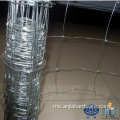 Jualan Langsung Berkualiti Tinggi Galvanized Fence